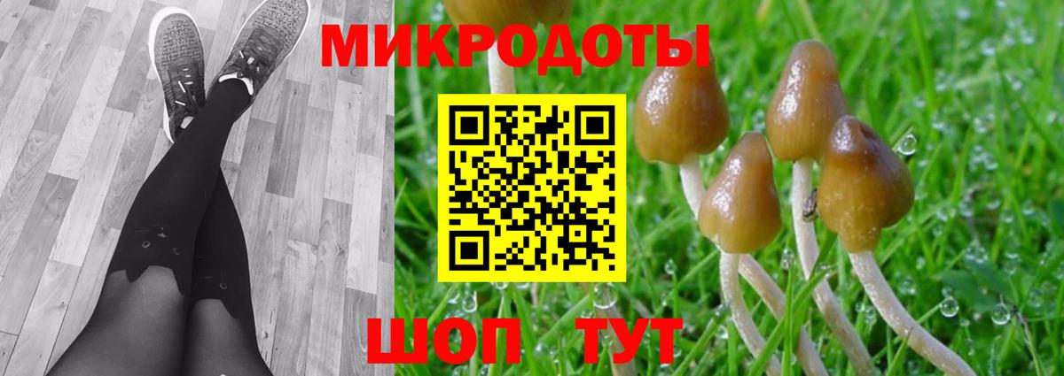 Псилоцибиновые грибы Psilocybine cubensis Миллерово