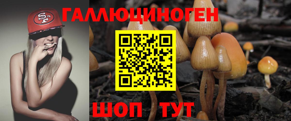 где купить наркотик  Псилоцибиновые грибы Psilocybe  Вход с VPN  Миллерово 